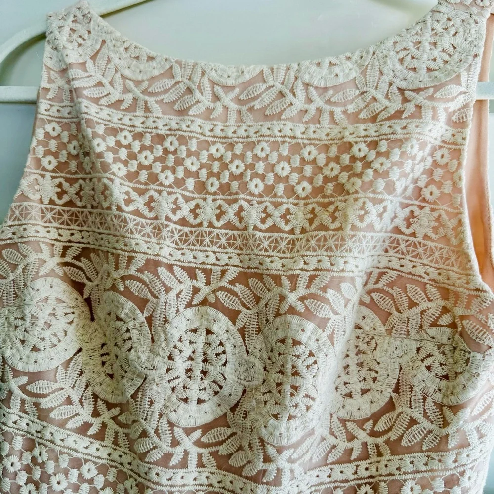 Alice Olivia Giola floral lace embroidery fit-and-flare dress Cream size 8 - Picture 7 of 10